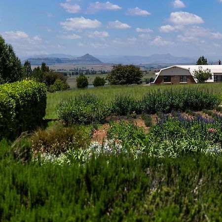 Lavender Hill Country Estate And Wedding Venue Affittacamere Bethlehem Esterno foto