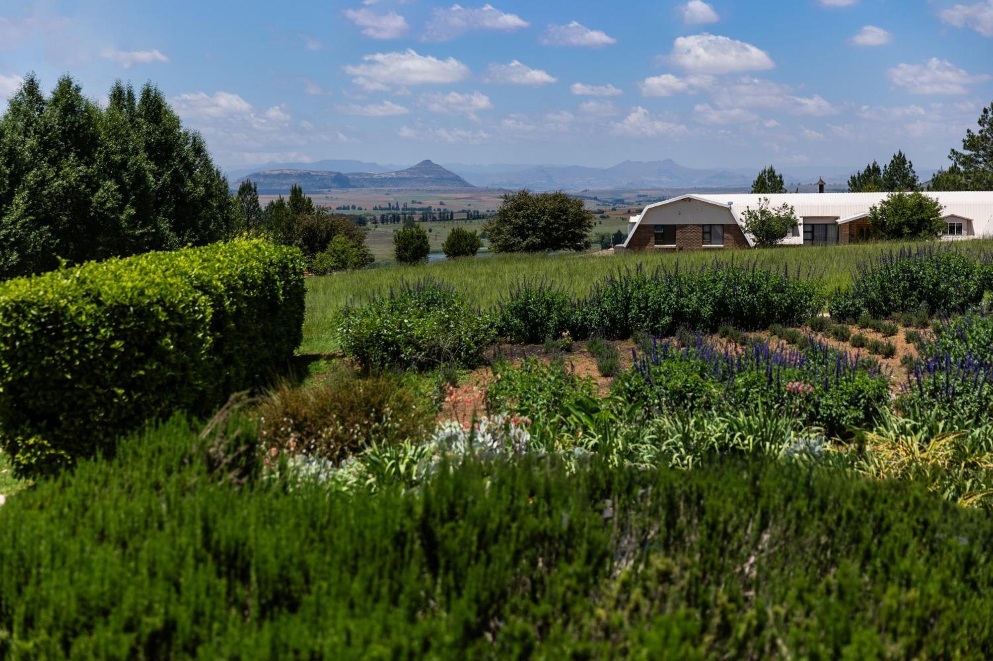 Lavender Hill Country Estate And Wedding Venue Affittacamere Bethlehem Esterno foto